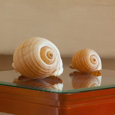 Hotell Pavlos 2*